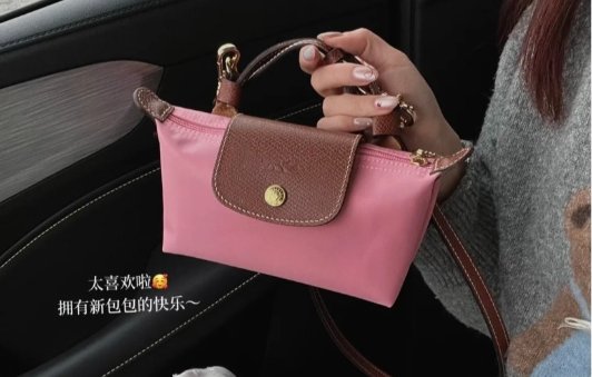 Longchamp 春日必收包包合集！樱花粉饺子包€85Longchamp 春日必收包包合集！樱花粉饺子包€85