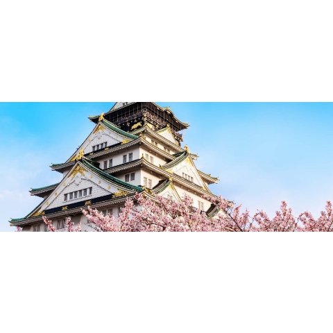 法兰-大阪国泰特价机票