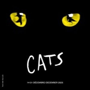 原版核心团队制作！2025.12.14起上演！音乐剧《猫》