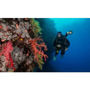 含平静水域训练+开放水域实践！！开放水域潜水员课程