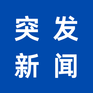 突发‼️德国汉堡火车站发生持刀袭击 致使12人受伤
