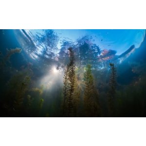 需持有开放水域潜水员认证才可参加高氧课程