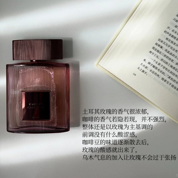 咖啡玫瑰