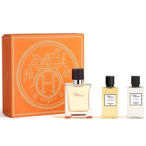 Hermes Terre D'Hermes Cadeauset edt 50ml + shower gel 40ml +
