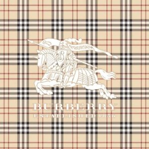 Tessabit 7月大促！Burberry便宜疯🦙羊毛围巾€265