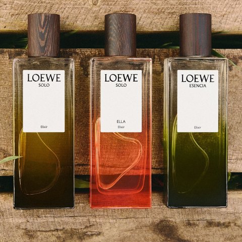 LOEWE 香水 今すぐ購入 LOEWE Paula's Ibiza Cosmic 50ml | ロエベ パルファム