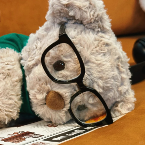 德系Jellycat？Steiff 百年泰迪熊品牌🧸限时好价请出手