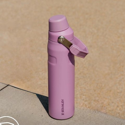 Stanley蹲补货运动水杯