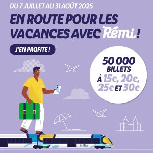 白菜价玩转法兰西后花园！Rémi-TER 闪促 单程仅€15起！