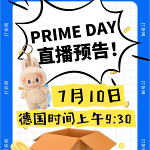 正在直播！速速围观！打折网小红书Prime Day直播🎥