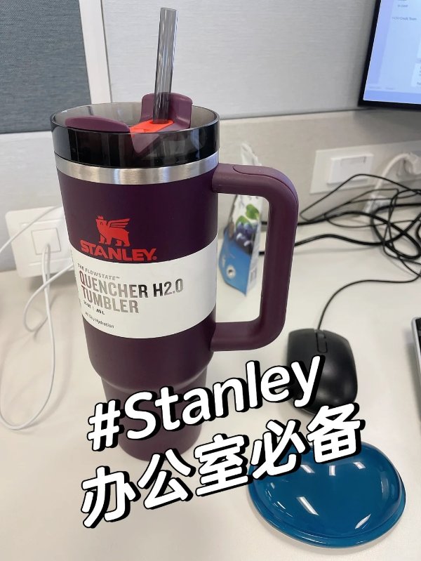 Quencher H2.0 FlowState深紫色吸管杯