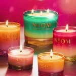 秋冬太需要NEOM了 天然精油 香得很安心