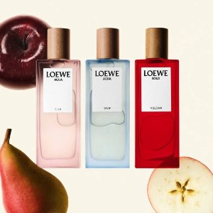 4折起！€39收桃金娘