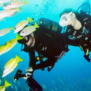 人生必修课+1 认证潜水员课程6次 开放水域+泳池