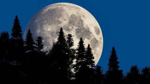 冷月压轴！年度最后一轮超级满月，还有流星雨和彗星来报道！