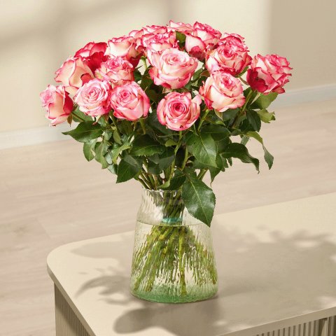 Paloma双色玫瑰花 20支Paloma双色玫瑰花 20支