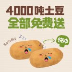 柏林人冲冲冲！🥔4000吨土豆竟然全部免费送