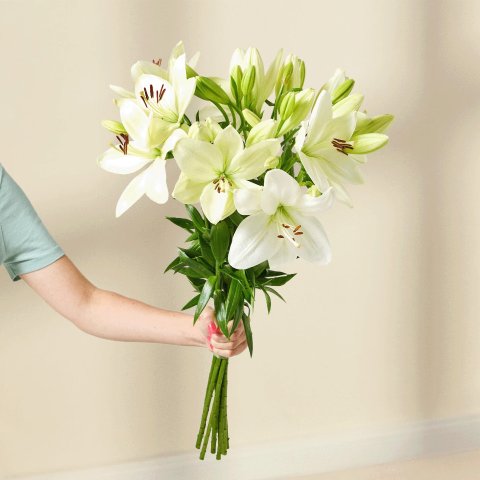 Weisse Lilien 白百合花 7枝