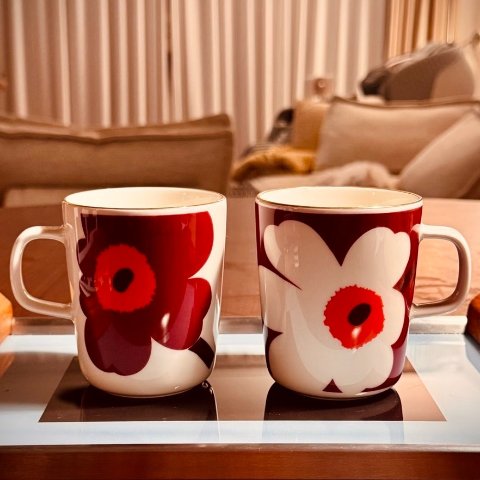 Marimekko封面同款！OIVA 陶瓷杯 250ml 2只装