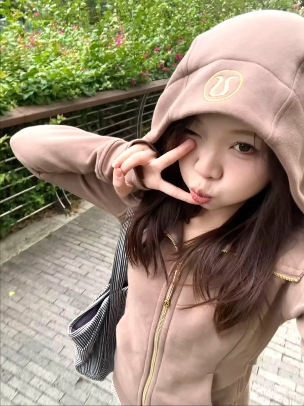 Scuba 拉链连帽卫衣 灰褐色金标