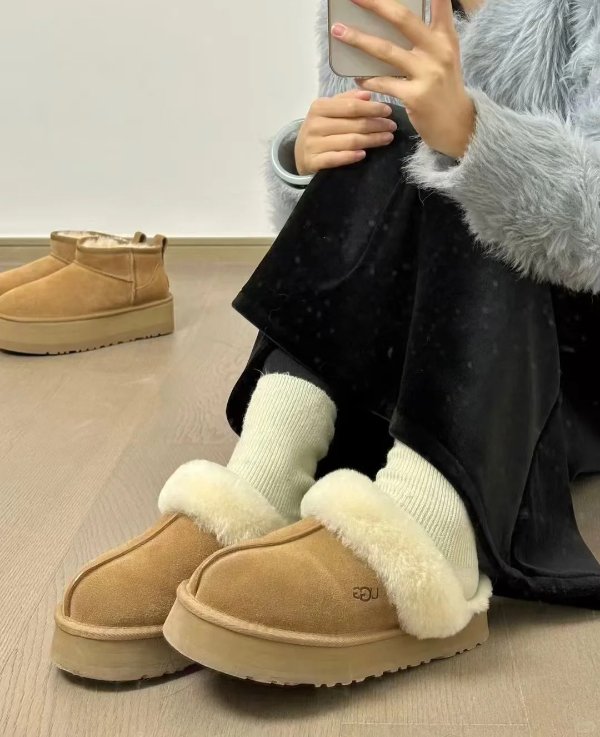 Disquette 栗色星鞋