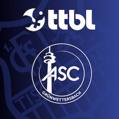 FC Saarbrucken TT 球拍 Grunwettersbach款