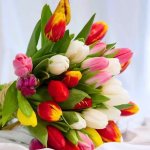 情人节“花”招💐小预算也能拿下30支！全法可送货上门！