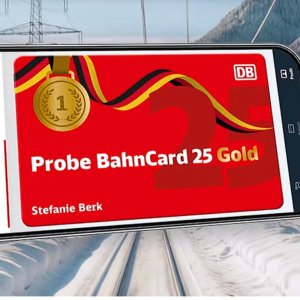 BahnCard Gold 德铁打折卡！冬奥会夺金免费做火车