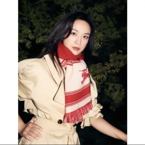 BurberryBurberry 拼花流苏围巾