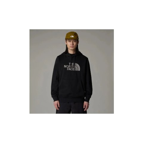 The North Facelogo 卫衣