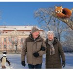 柏林动物园福利月启动！65岁及以上免费进园看动物啦！