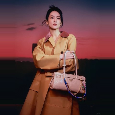 Prada Bonnie 中号手提包