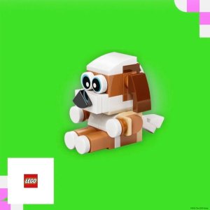 2月25日/26日 下午15-17点