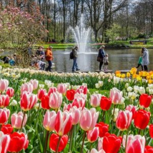 阿姆酒店低至€58/人