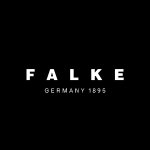 FALKE 德国贵族袜子 小众伴手礼！来德国必买！