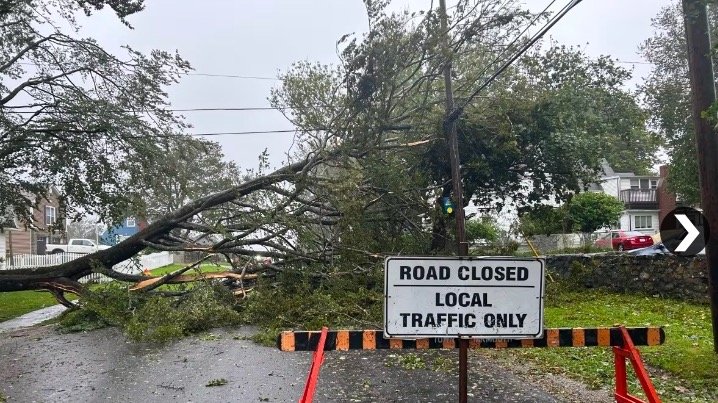 可怕！超强台风破坏力大狂袭加拿大：树倒房塌、20万住户断电、航班取消！