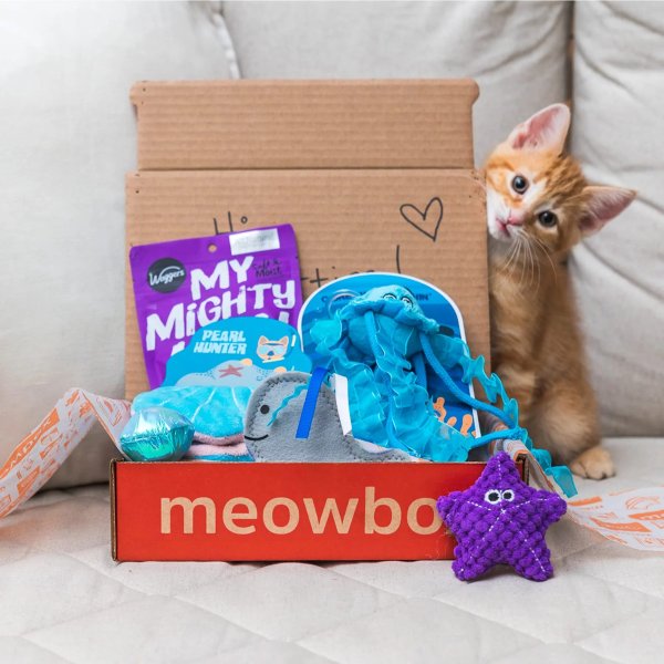 Meowbox