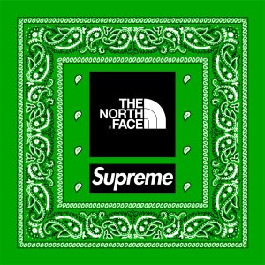 Supreme x The North Face 重磅联名｜10款「腰果花」单品