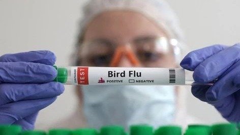 世界首例！中国56岁妇女是第一个死于H3N8禽流感的人类病例！