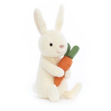怀抱胡萝卜小兔
