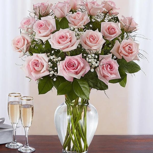 粉色玫瑰花束 12-18朵