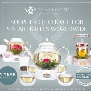 闪购：Teabloom 玻璃茶壶+暖茶座套装 1.2L 微波炉/炉灶安全