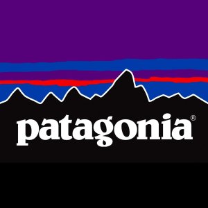Patagonia 秋季大促 爆款logo T $53、棒球帽$29