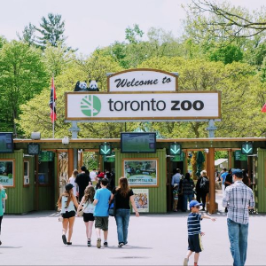 Toronto Zoo 多伦多动物园 门票特惠