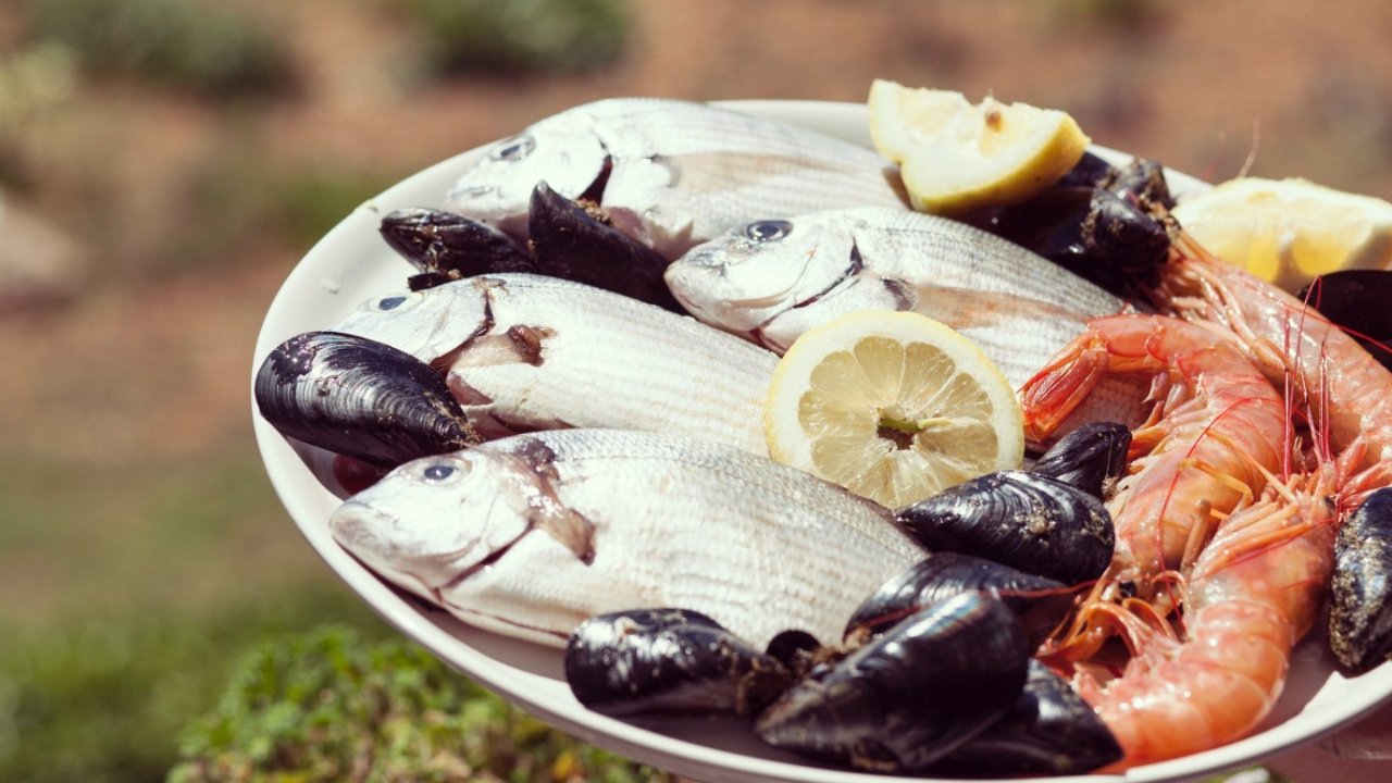 法国常见海鲜中法语对照 - 鲈鱼、鲷鱼、鳗鱼等，附图片