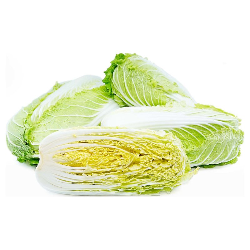 大白菜英文 napa cabbage