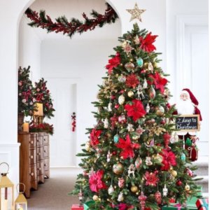 Myer 精选圣诞树、彩色灯串、圣诞装饰品等热卖