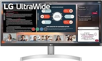 UltraWide 29WN600-W 29 英寸显示器