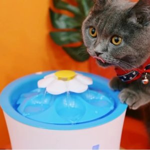 Catit 3L 猫主子专用花瓣饮水器 经典绿色款$31