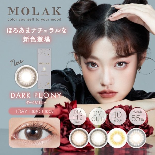 Contact lenses] Miche Bloomin [10 lenses / 1Box] / Daily Disposal 1Day  Disposable Colored Contact Lens DIA14.0mm<!-- ミッシュブルーミンワンデー 10枚入り □Contact  Lenses□ --> - C